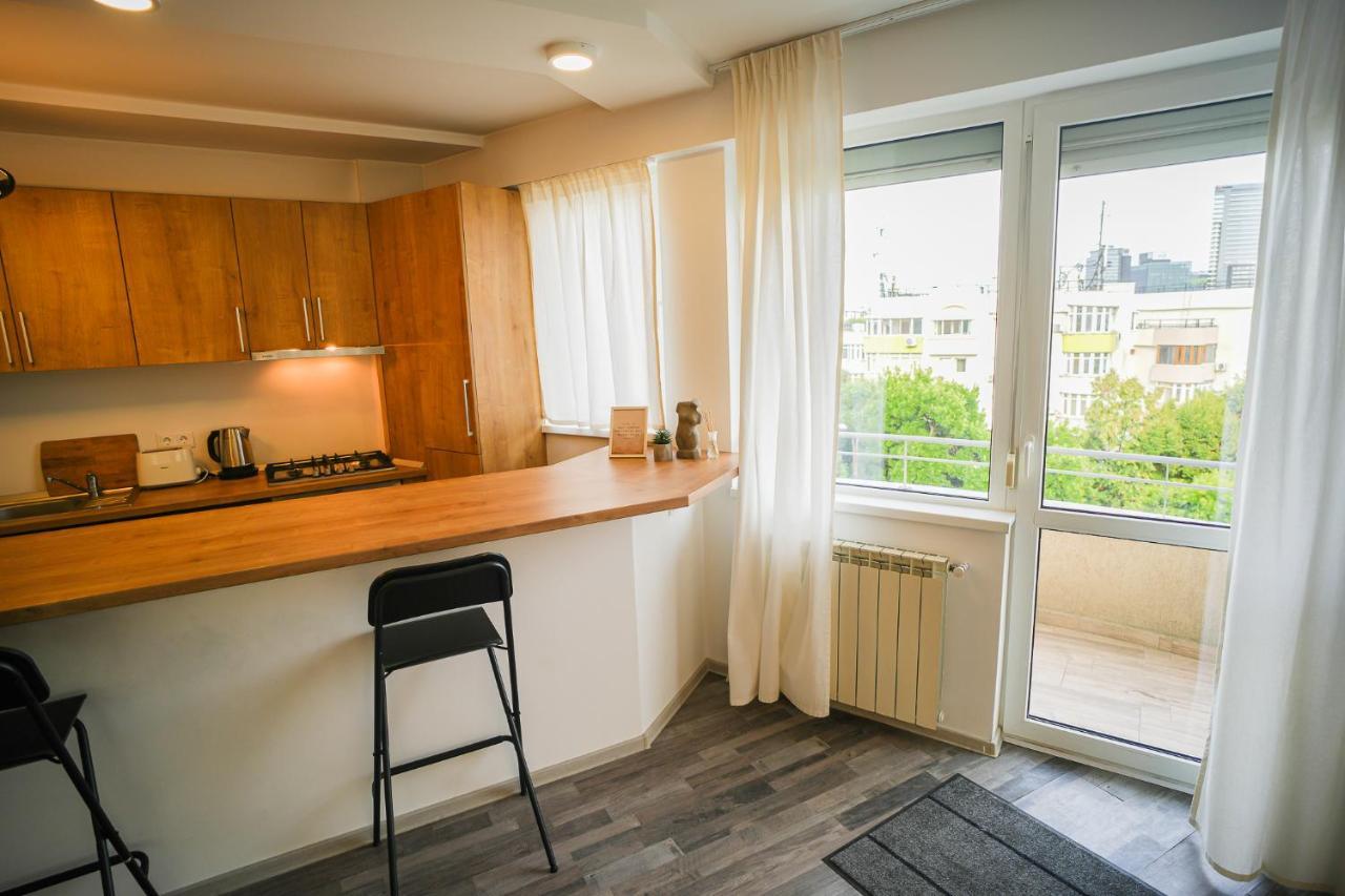 Penthouse With Huge Rooftop & Amazing City View ブカレスト エクステリア 写真